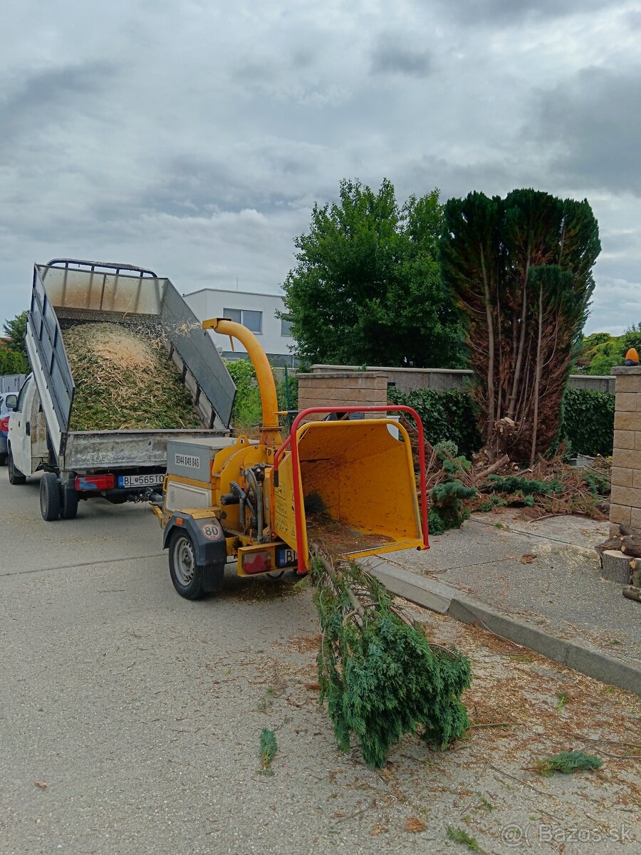 Pílenie stromov, arboristika, výrub stromov, orez stromov - 12