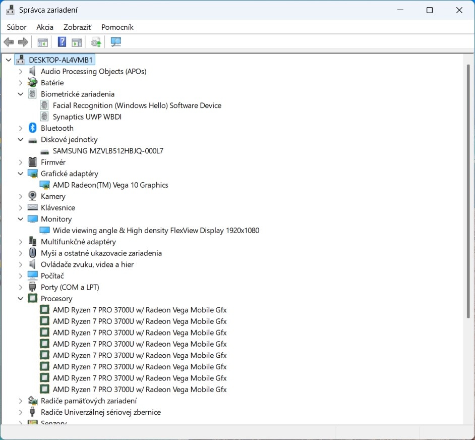 Thinkpad T495/Ryzen 7 Pro 3700U/16GB RAM/FHD IPS/512GB SSD - 12