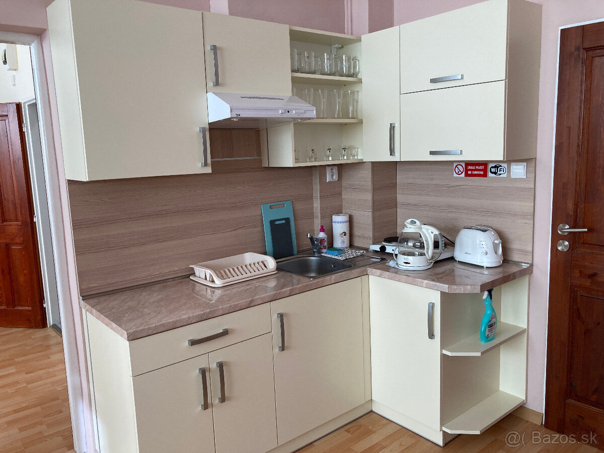 PRENÁJOM 2 IZBOVÝ BYT - 12