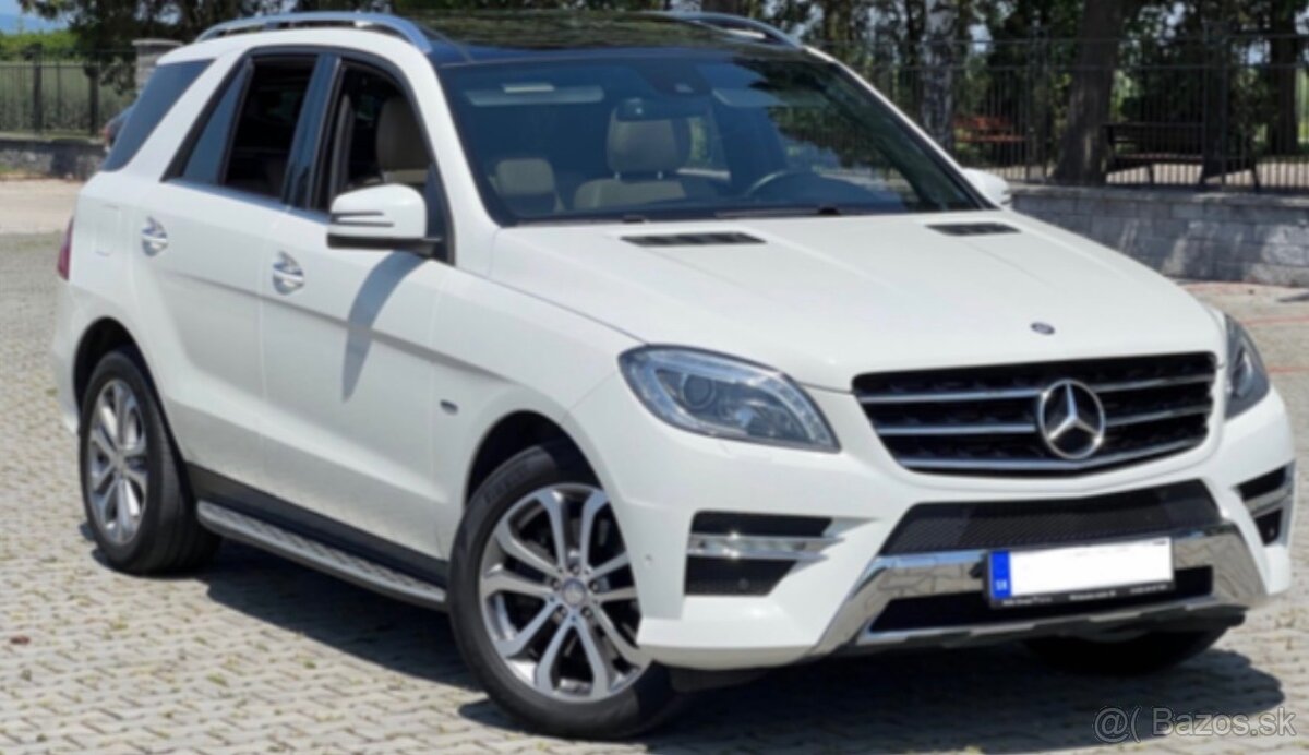 Mercedes Benz ML 250 4MATIC - 12