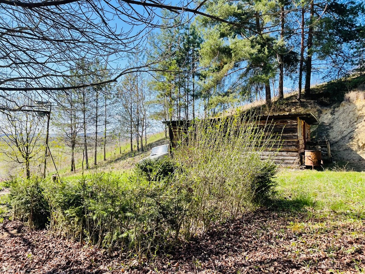 Poľovnícka chata s altánkom (Želovce) - 12