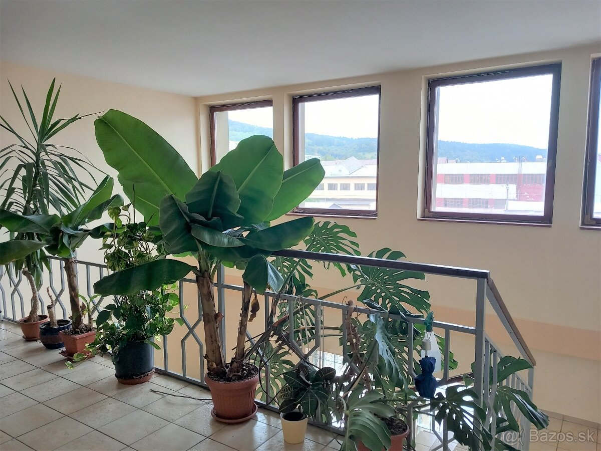 3 izbový byt v Bardejove - CACTUS - 12