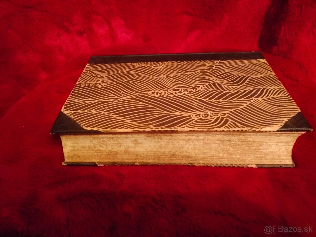 Písemnictví české slovem i obrazem Václav Flajšhans 2 diely - 12