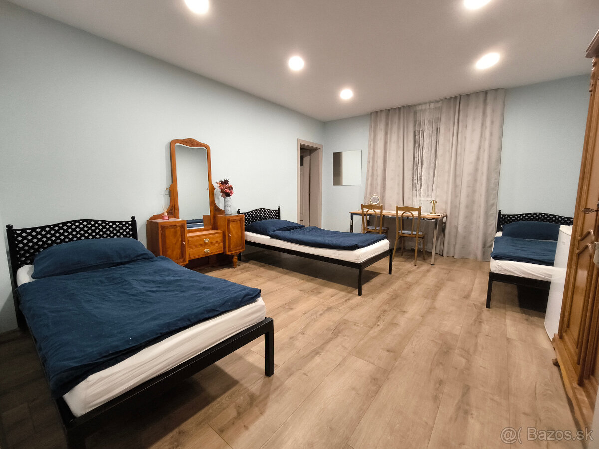 ubytovanie pri Piešťanoch - 12
