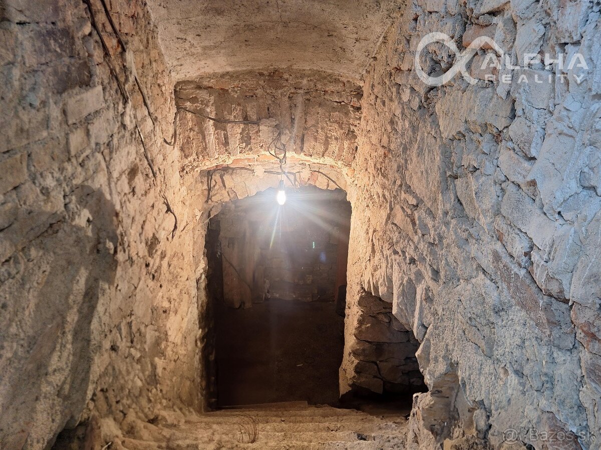 Polyfunkčný priestor, predaj, 66,5m2+pivnica 38m2, Zimná,SNV - 12