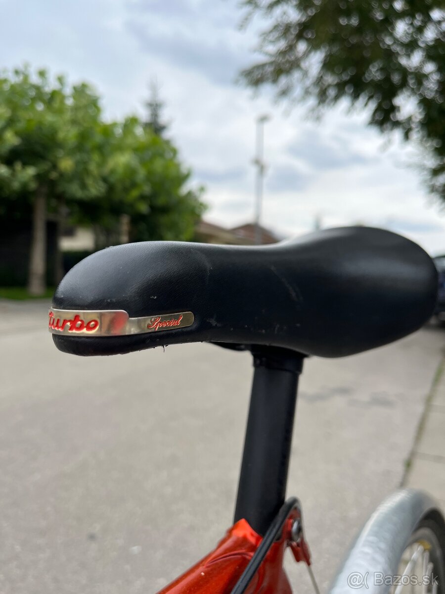 Randoneur Arko Bici - 12