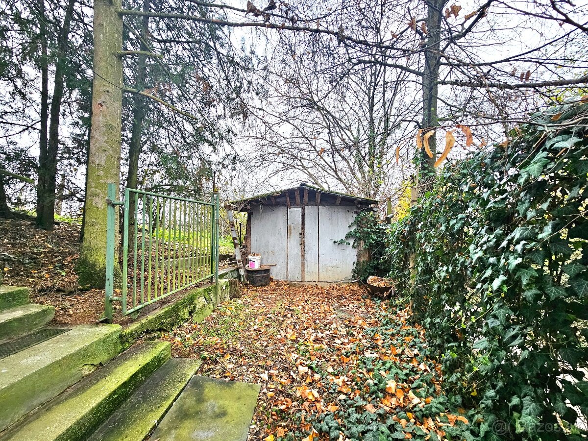 Viničný dom s vinicou Staré Predné Levice - 12