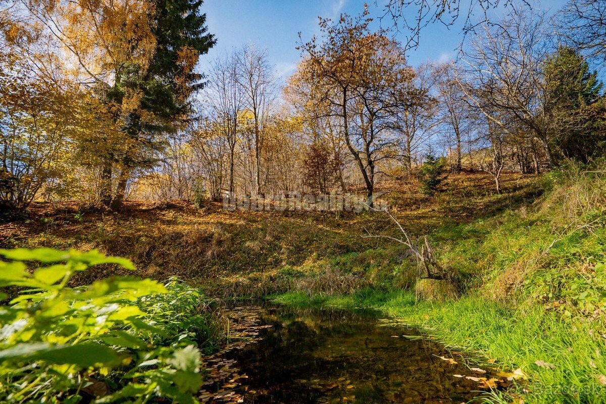 PREDAJ: Tajuplná záhrada s jazierkom a banským potôčikom, 19 - 12