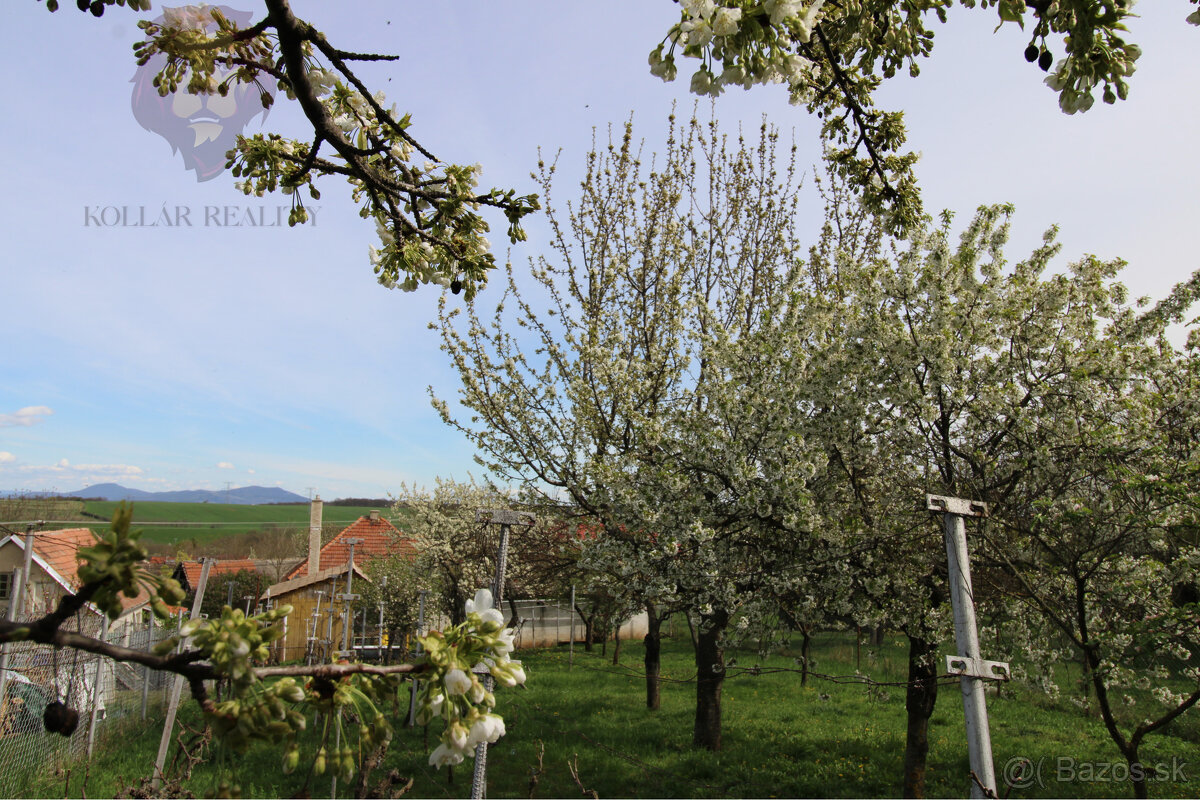 NA PREDAJ - Rodinný dom so záhradou v Sasinkove - 12