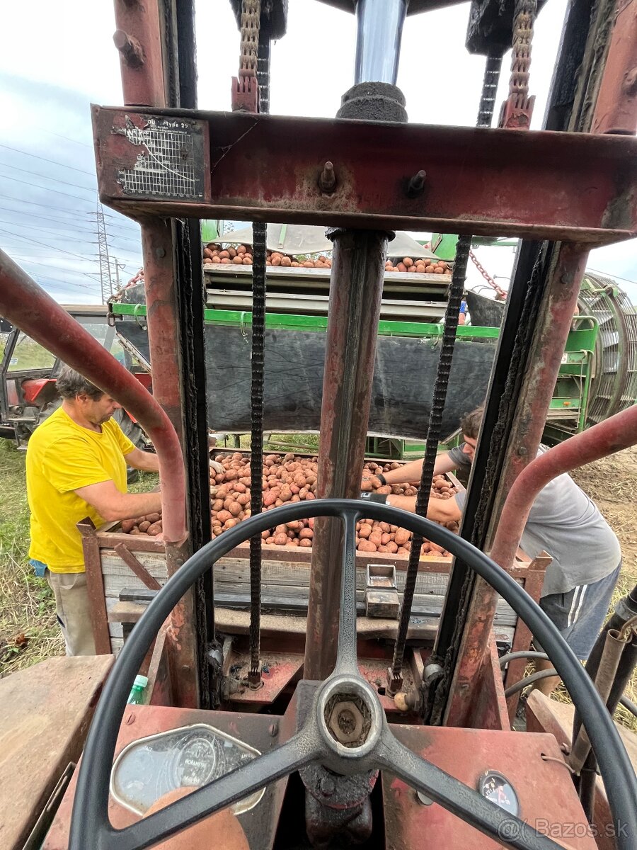 Domáce Zemiaky - 12