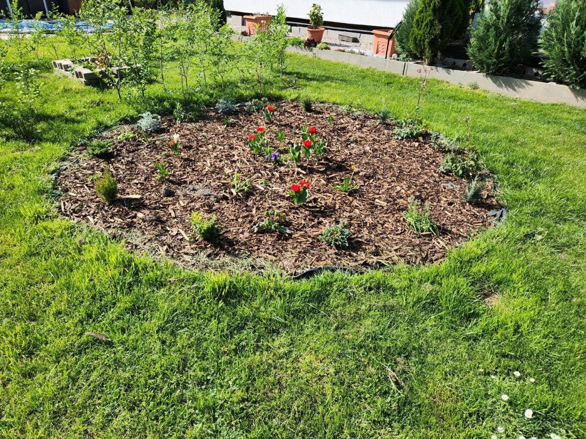 Predám 2 chatky - 12