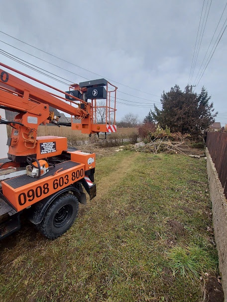 Pílenie a Orezávanie stromov - 12