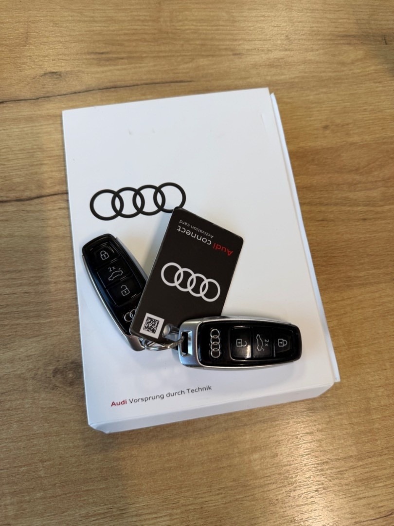 Audi E-tron 55 Quattro 300kW SOH 94,7 - 12