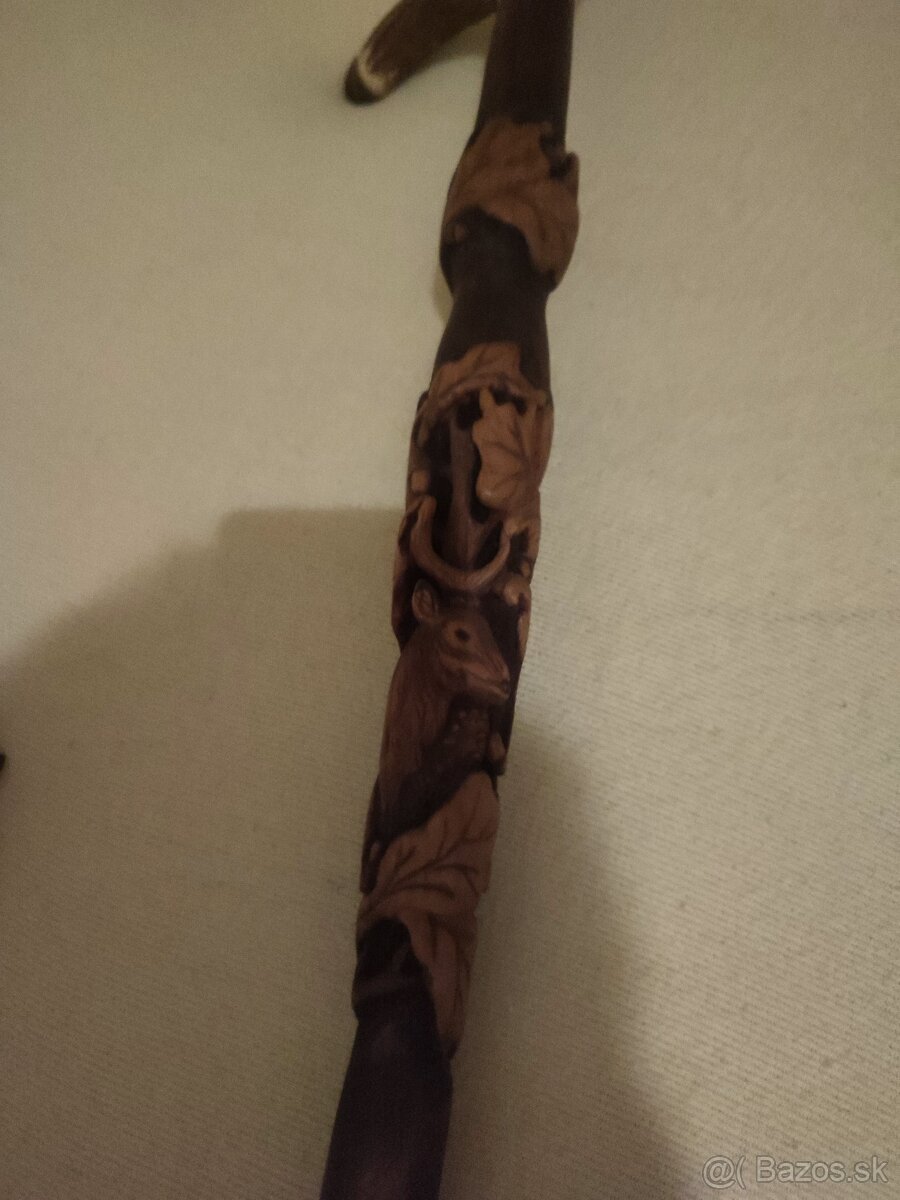 Vychádzková palica a dymka - 12