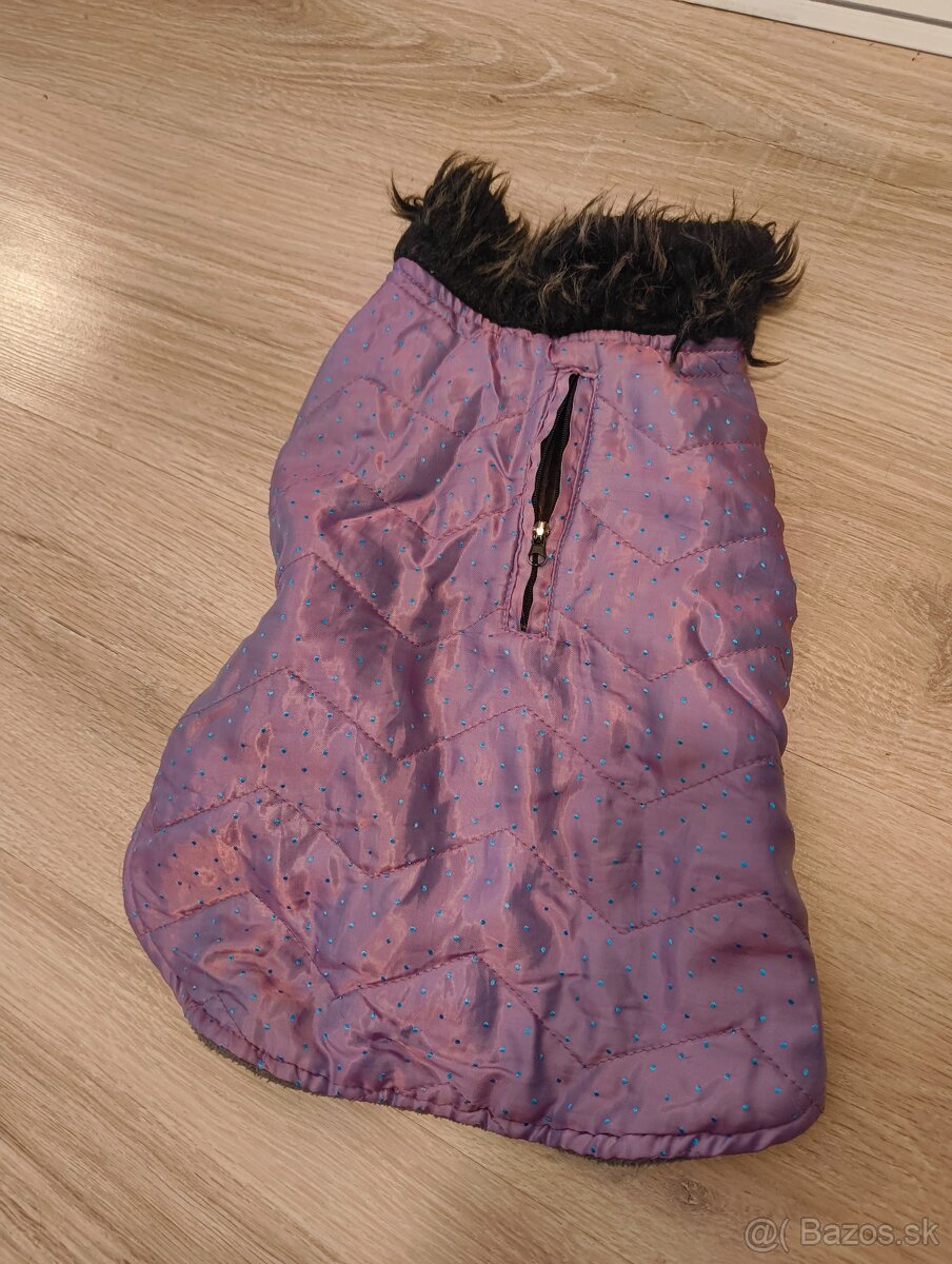 Predám oblečenie, príslušenstvo pre psa - 12