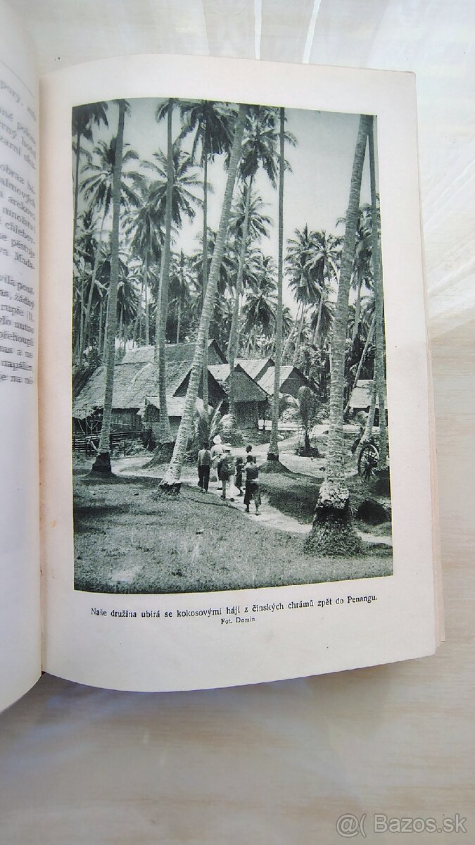 Daneš-Domin Dvojím rájem 1+2 AUTOGRAM autora - 12