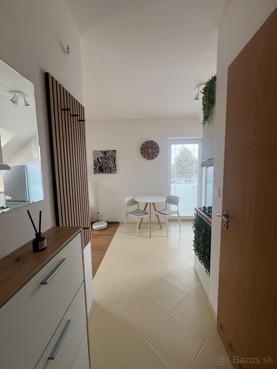 PETFRIENDLY 1-izbový byt so záhradkou (Biely Kostol) - 12