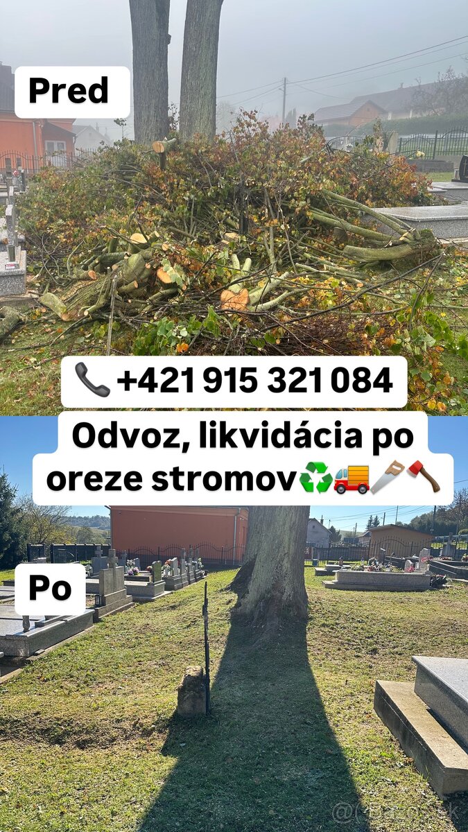 Kosenie, mulčovanie, frézovanie pňov, preprava, vypratávanie - 12