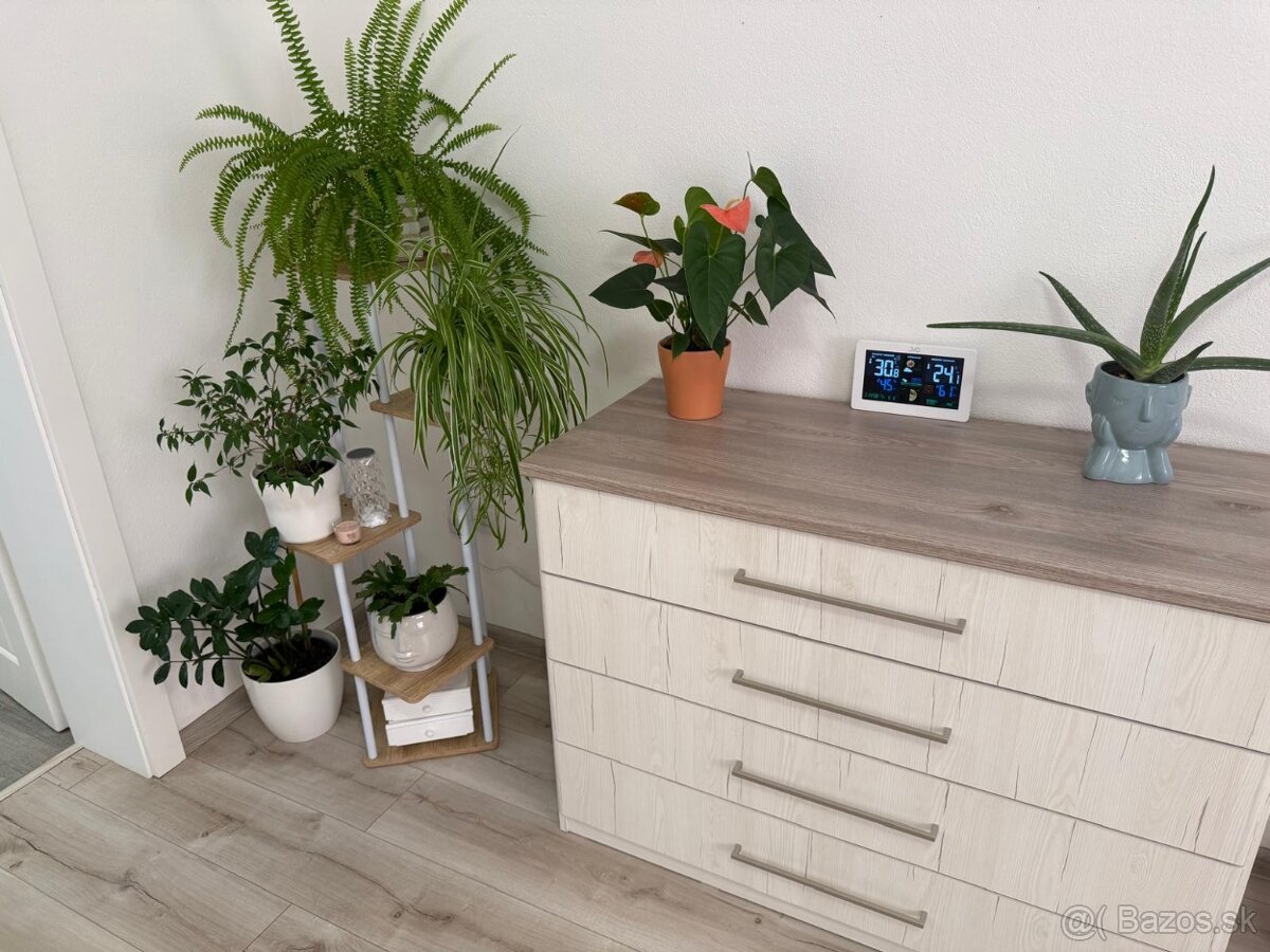 Predaj 4-izb.RD v Dolnej Strede - 12