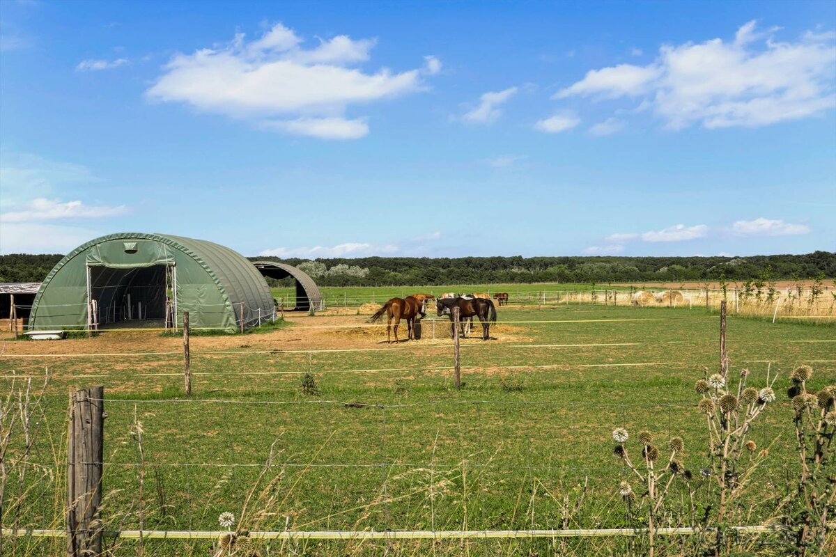 REZERVOVANÉ : Pasívna novostavba z prírodných materiálov - 12