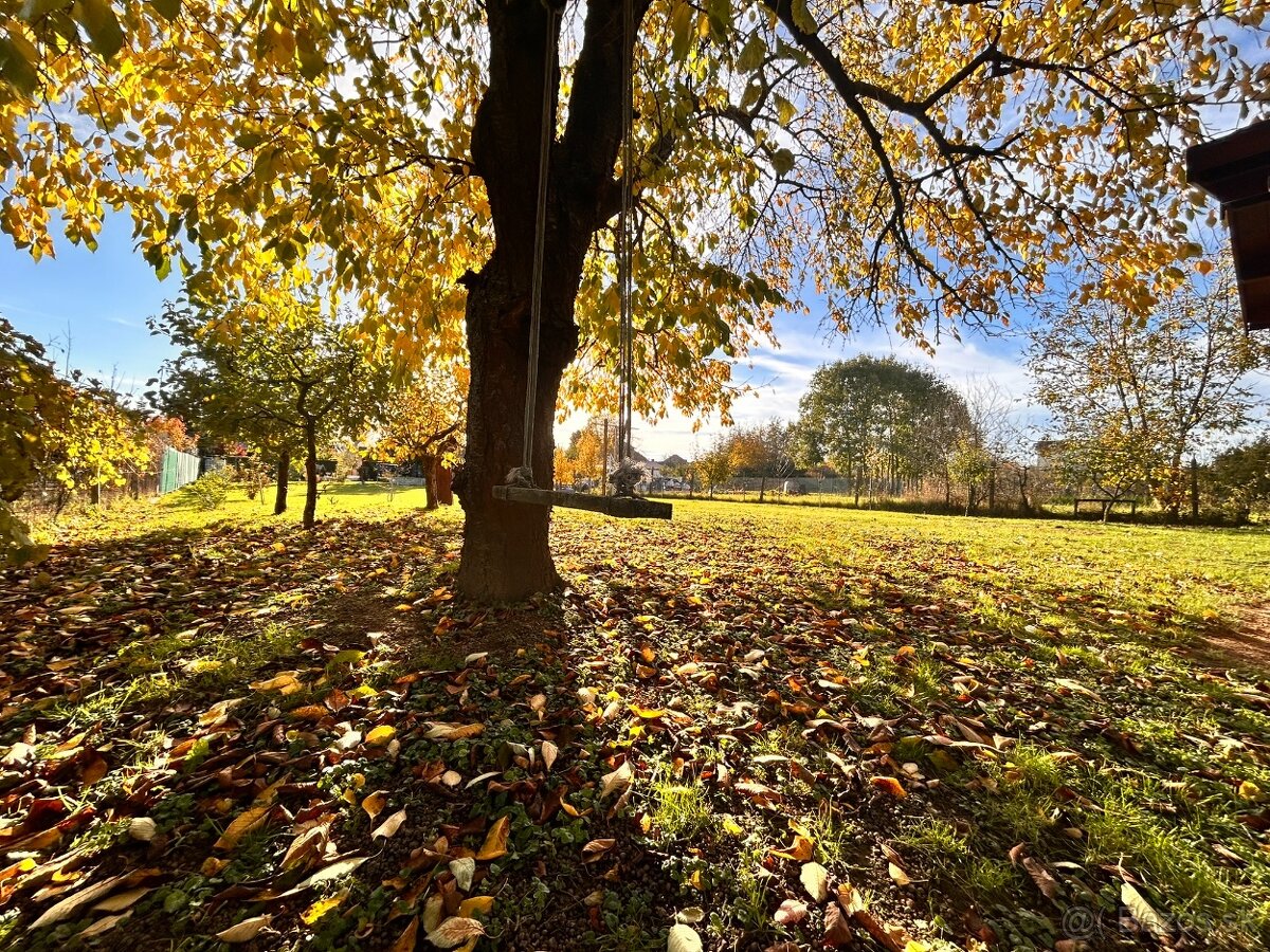 Rodinný dom v obci Nová Ves nad Žitavou - 12