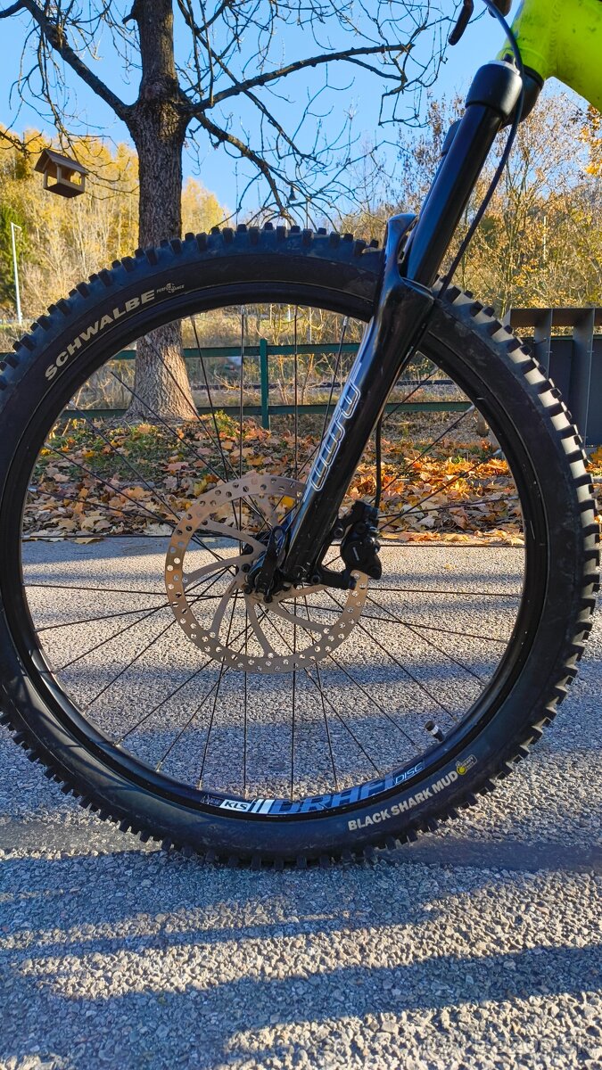 Kellys whip 10 2018 - 12