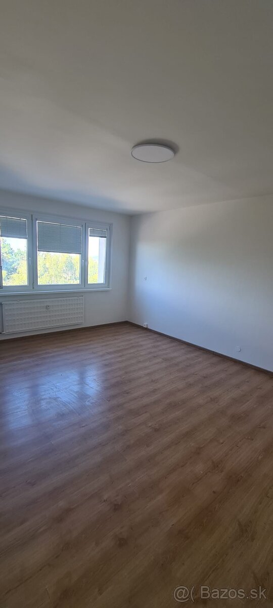 Pronájem bytu 1+1 43 m² - 12