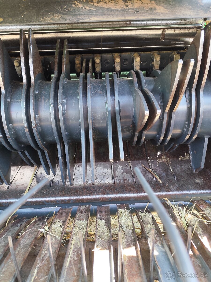 Lis - balikovac - 12