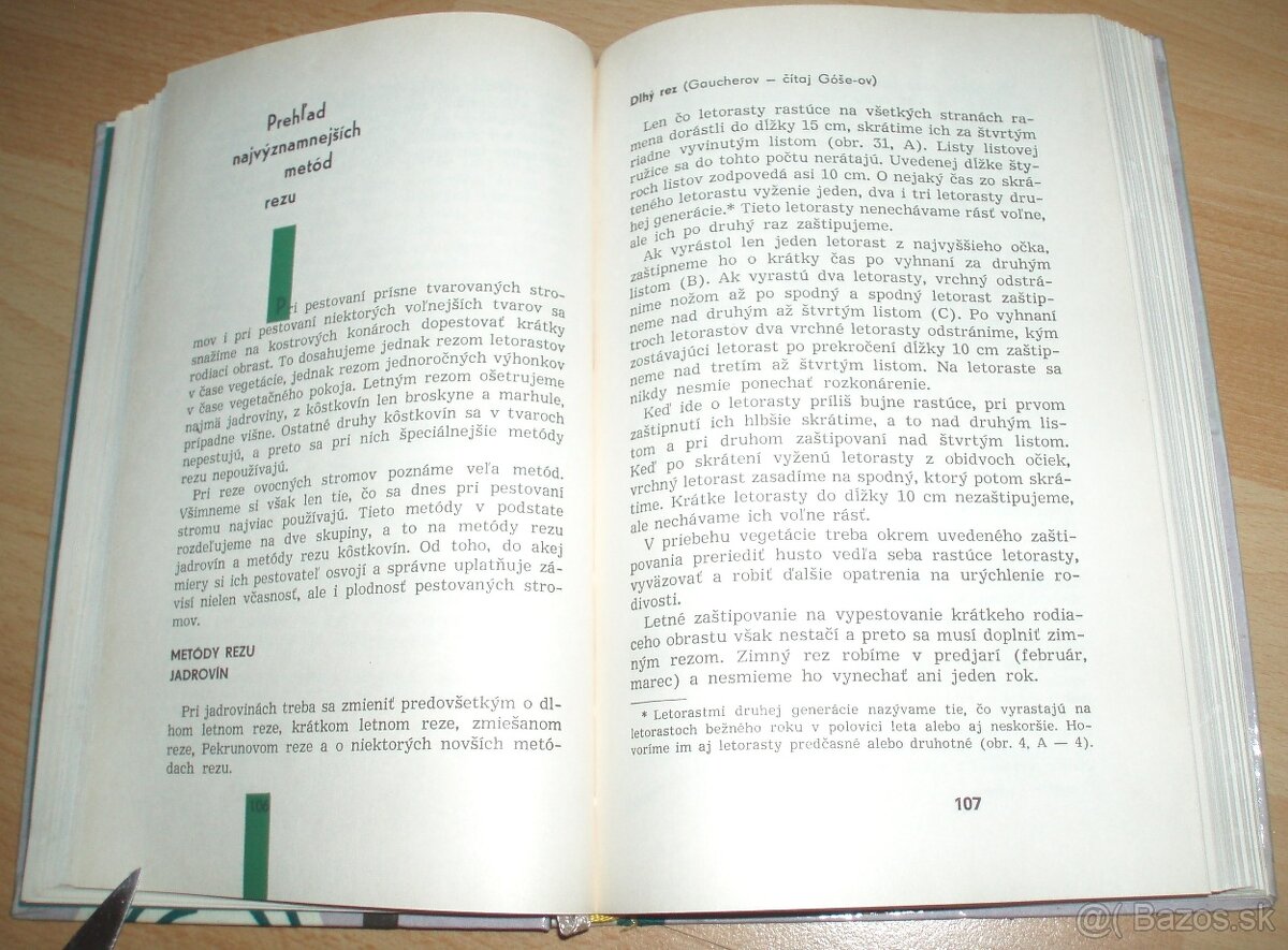 Rez a tvarovanie ovocných drevín - 12