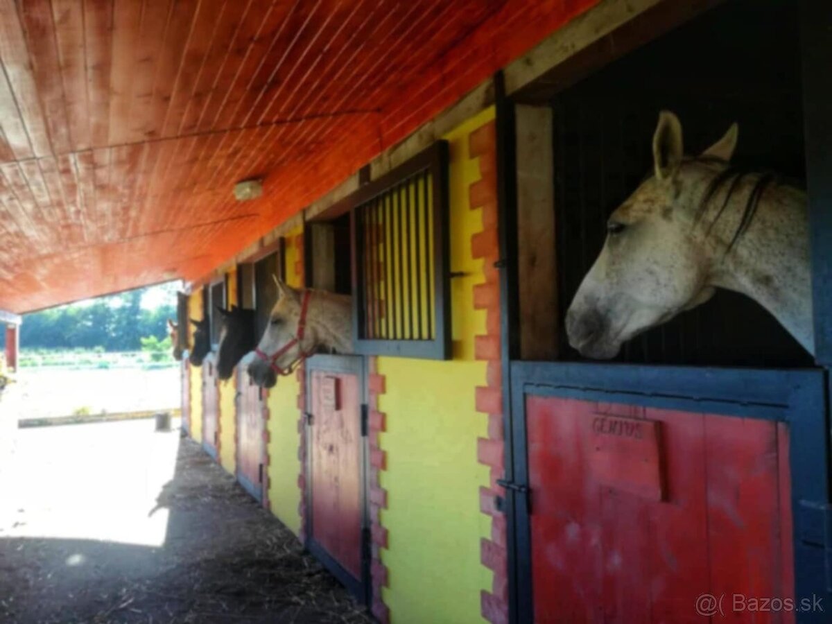 JEDINEČNÁ JAZDECKÁ FARMA V ÚPLNOM SÚKROMÍ - 12