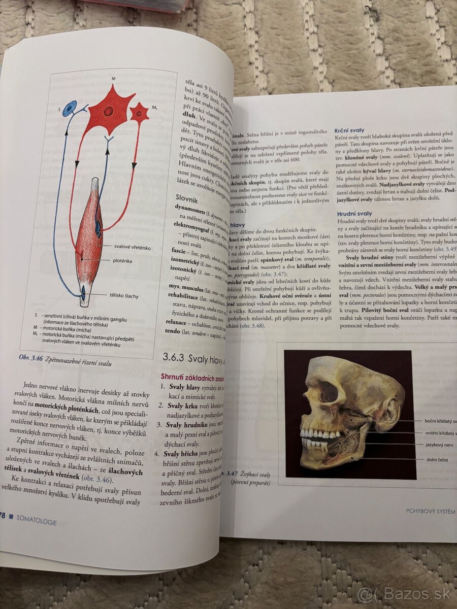 Materiály na medicínu - 12