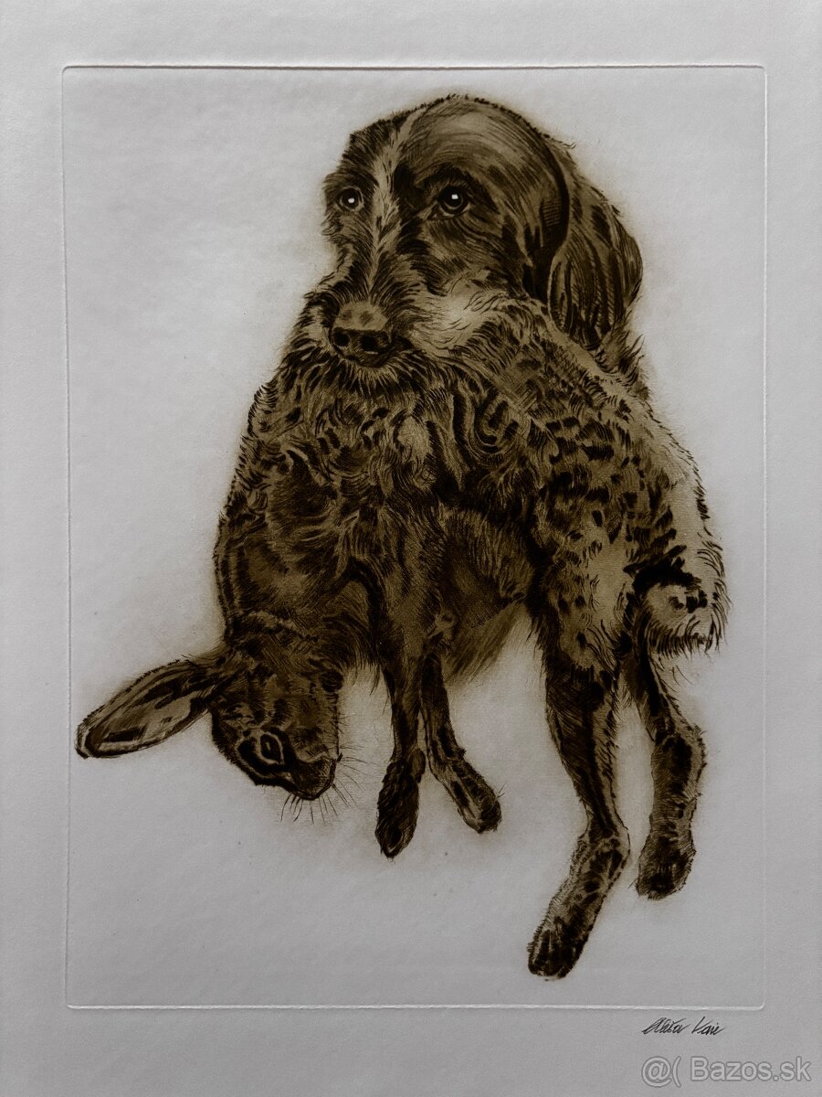 Ales Vaic - lesnicka tematiky - 12