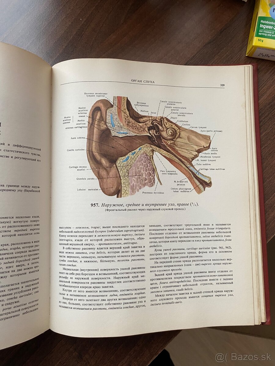 Atlas - Anatomia cloveka 2,3 - 12