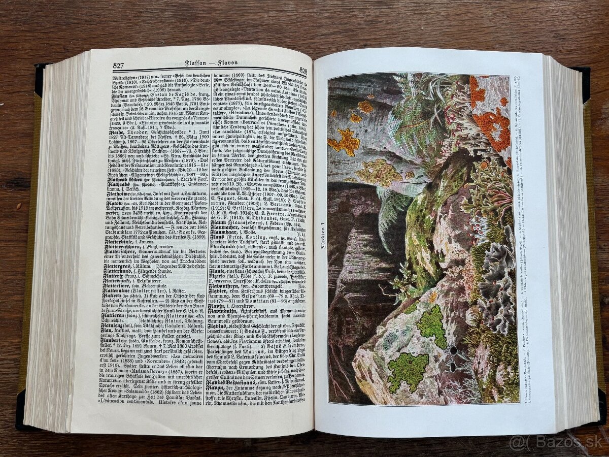 Meyer´s Lexikon - 12