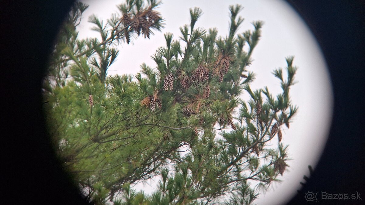 Ďalekohľad BPC 10X50 TENTO - 12