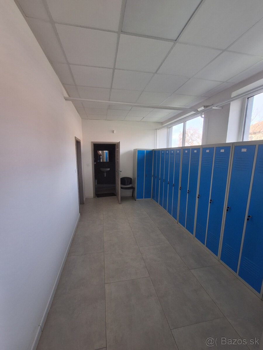 Komplexný areál s nehnuteľnosťami v meste Tornaľa. - 12