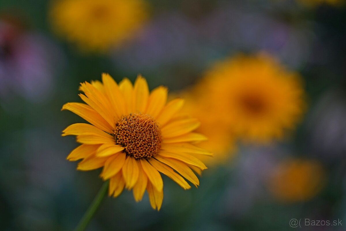 Objektiv Helios 44M-4 58mm f2 M42 - 12