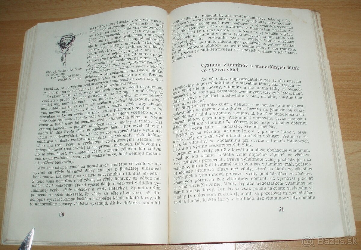 Výživa a kŕmenie včelstiev - 12