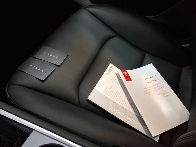 Tesla Model Y Long Range Dual Motor AWD 4x4 378 kw - 12