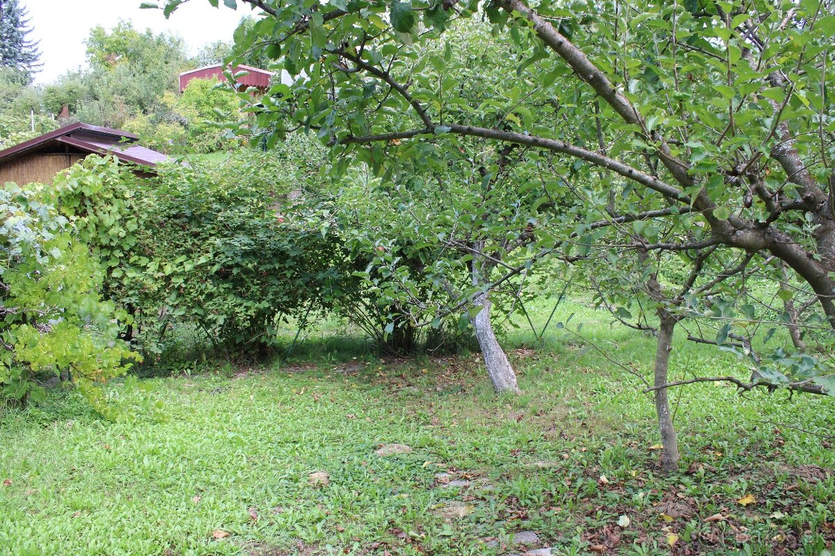 Na predaj záhradná chatka – Lučenec, 10. záhradkárska osada - 12