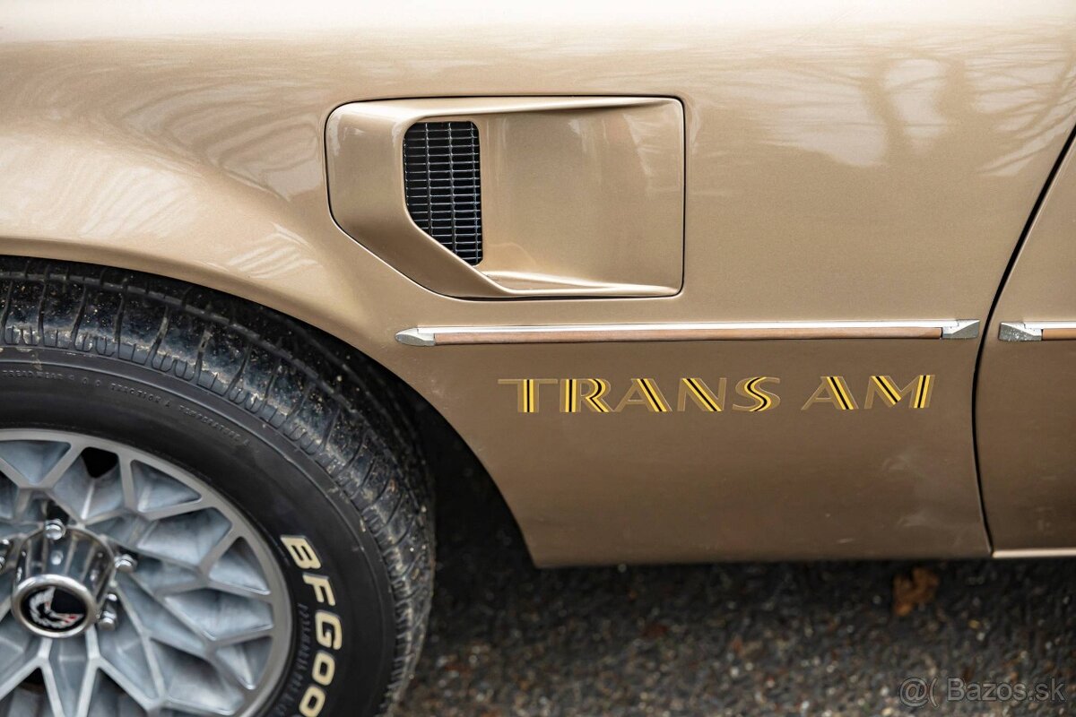Pontiac Firebird 1977 - 12