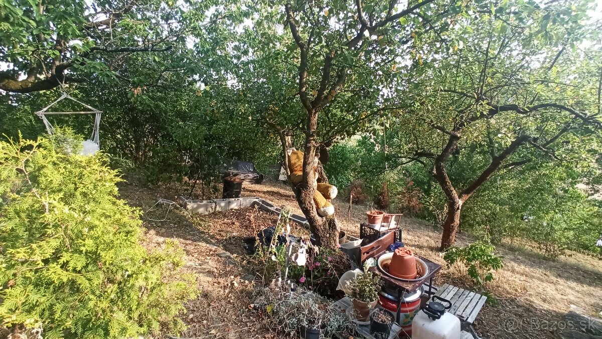 Záhradná chata Lučenec Opatová - 12