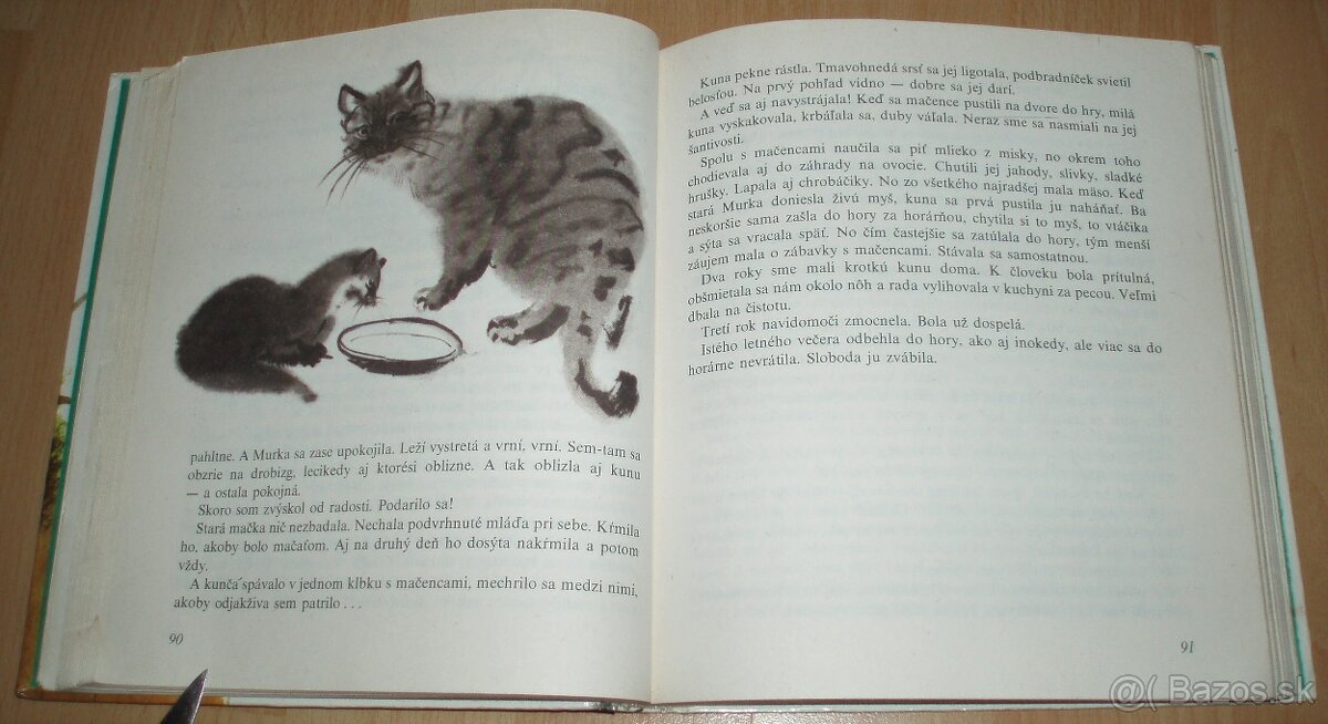 Z poľovníckej kapsy - 12