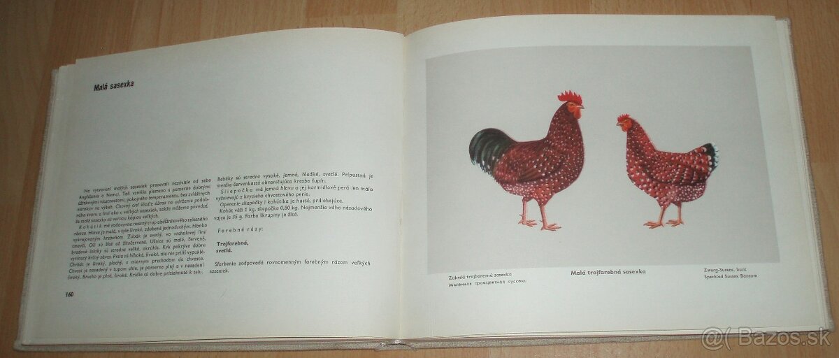 Atlas plemien hydiny - 12