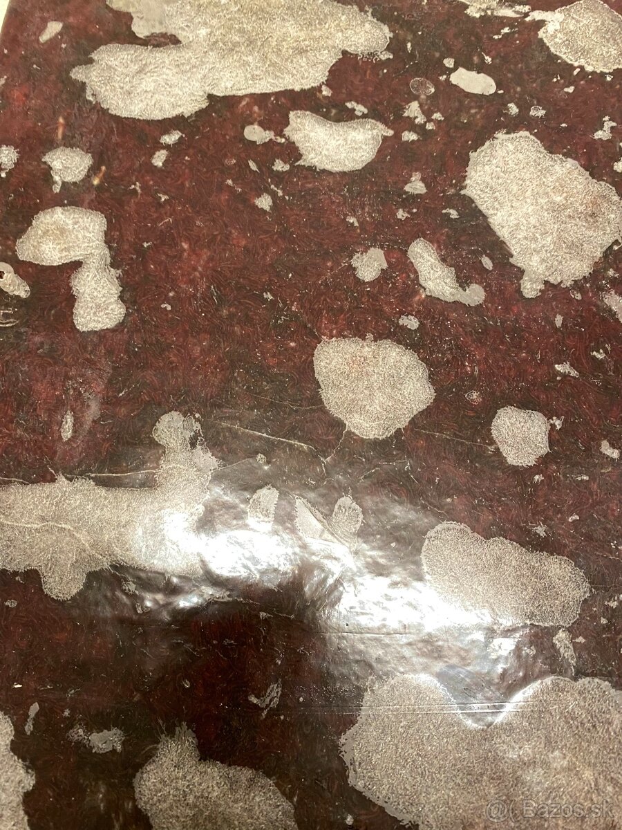 Artemie, discus mix, koretra, dafnie, mysis, hovězí srdce - 12