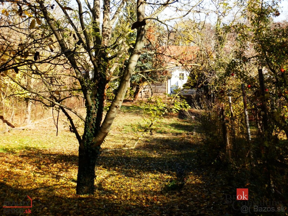 Na predaj priestranný bezbariérový rodinný dom v Budmericiac - 12