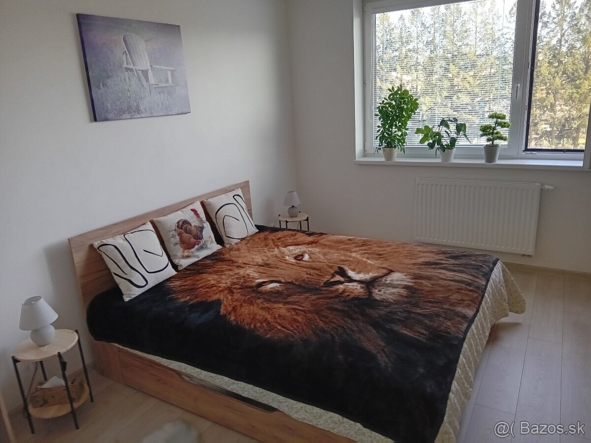 Prenájom 2-izbového bytu v novostavbe - Štvrť Kasárne, BR - 12