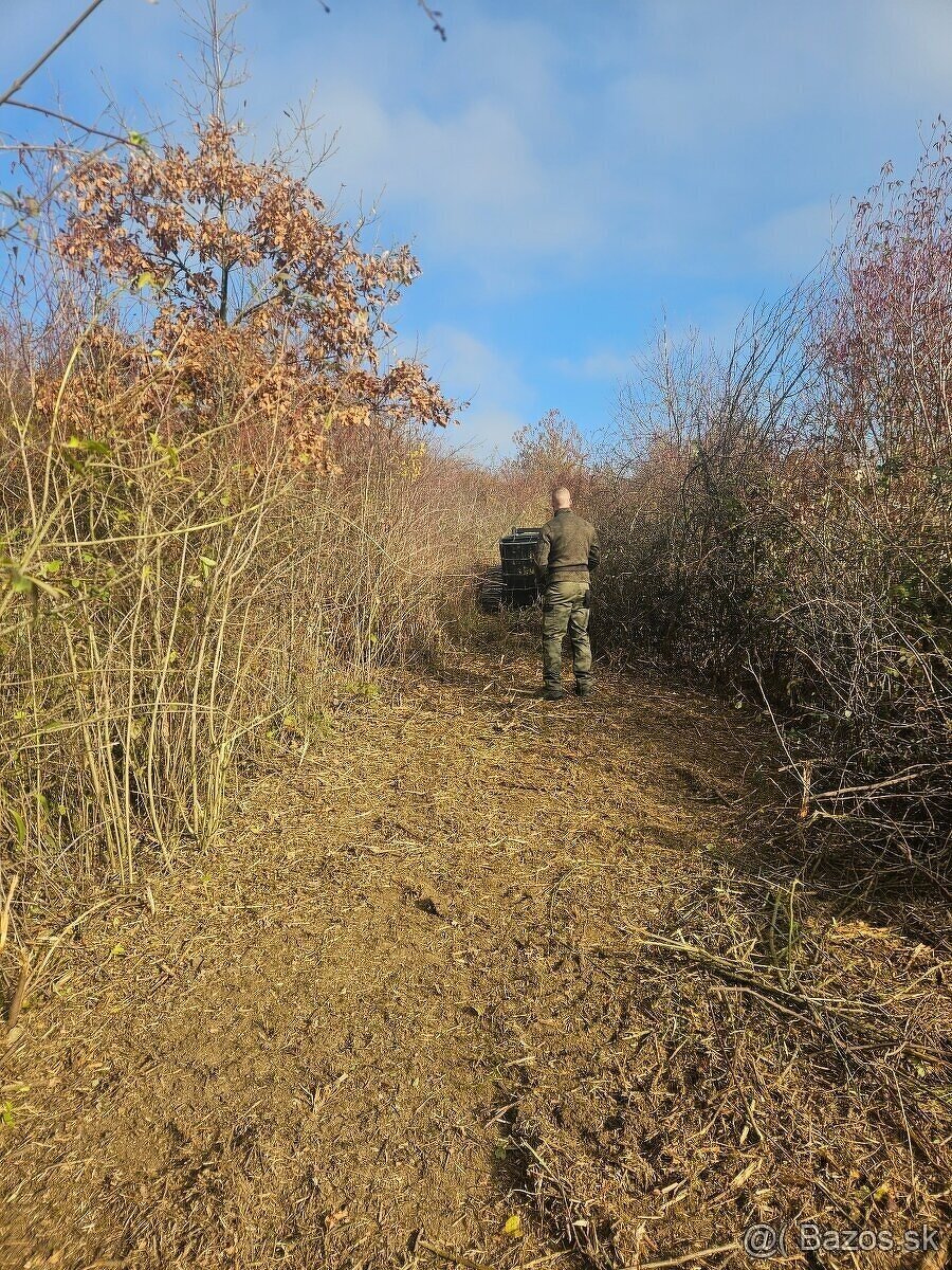 Čistenie pozemkov od naletovych drevín lesná fréza - 12