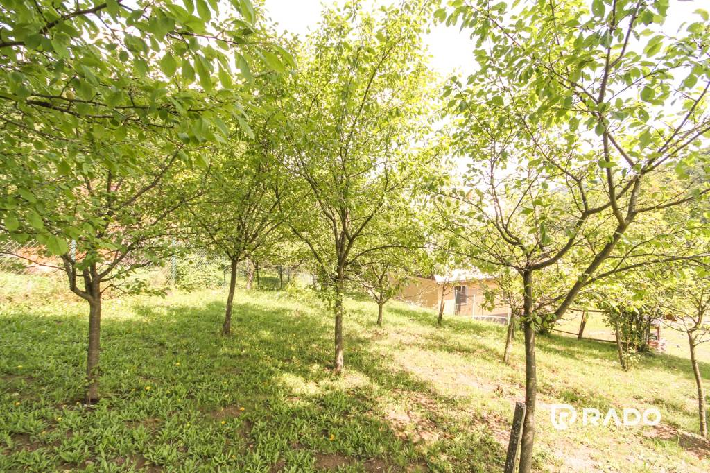 RADO | Rodinný dom s pozemkom 3802m2, Sidonie - Horné Srnie - 12