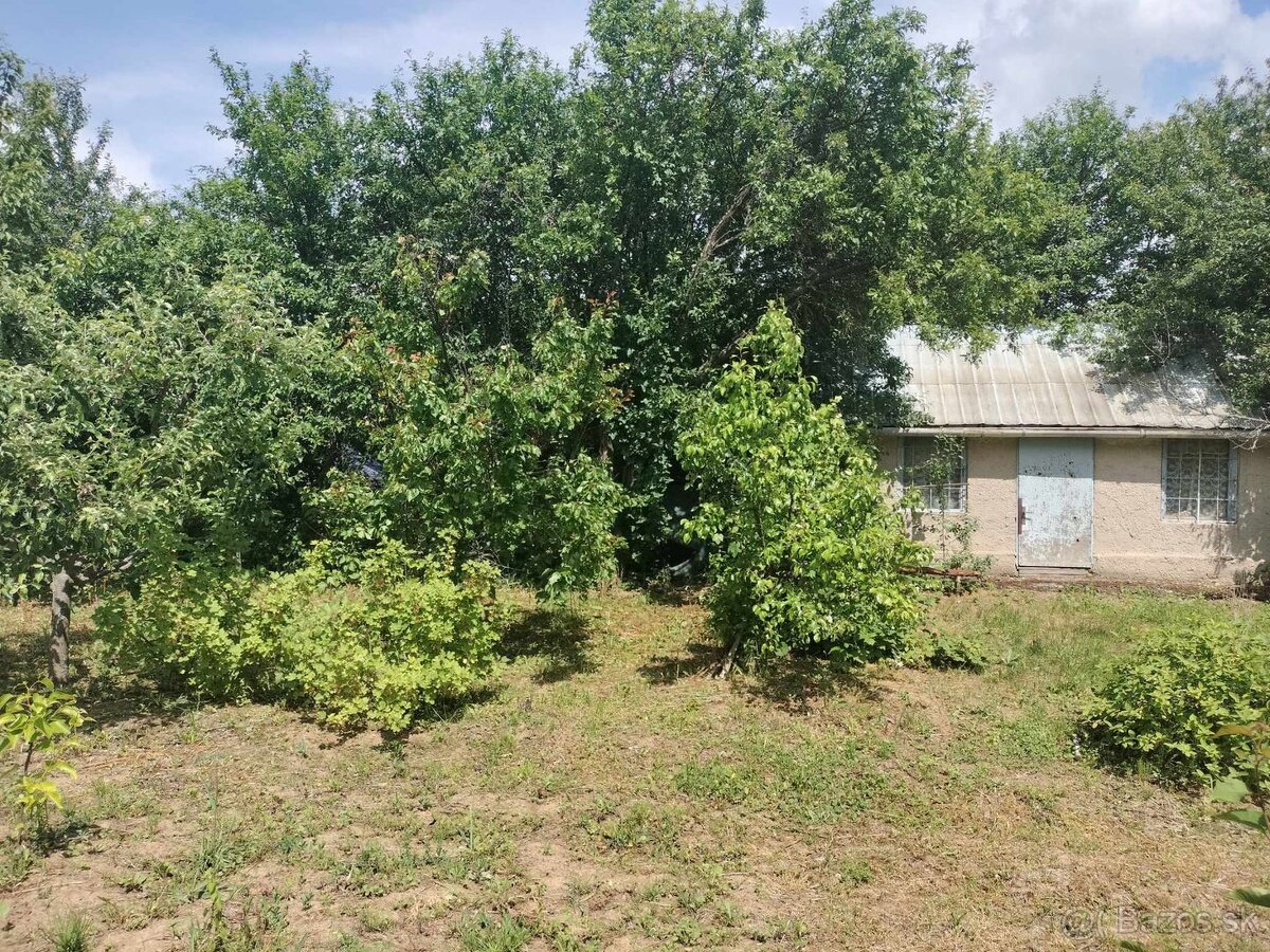 Predaj krásnej rovinatej záhrady s ovocnými stromami. - 12